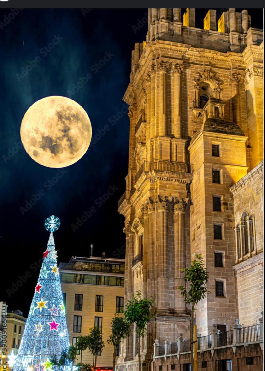 Apartamento La Gitana Y El Rey Sol Málaga