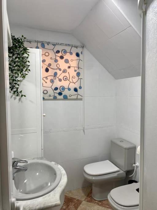 Casa Encantadora Y Confortable En Malaga. * Málaga