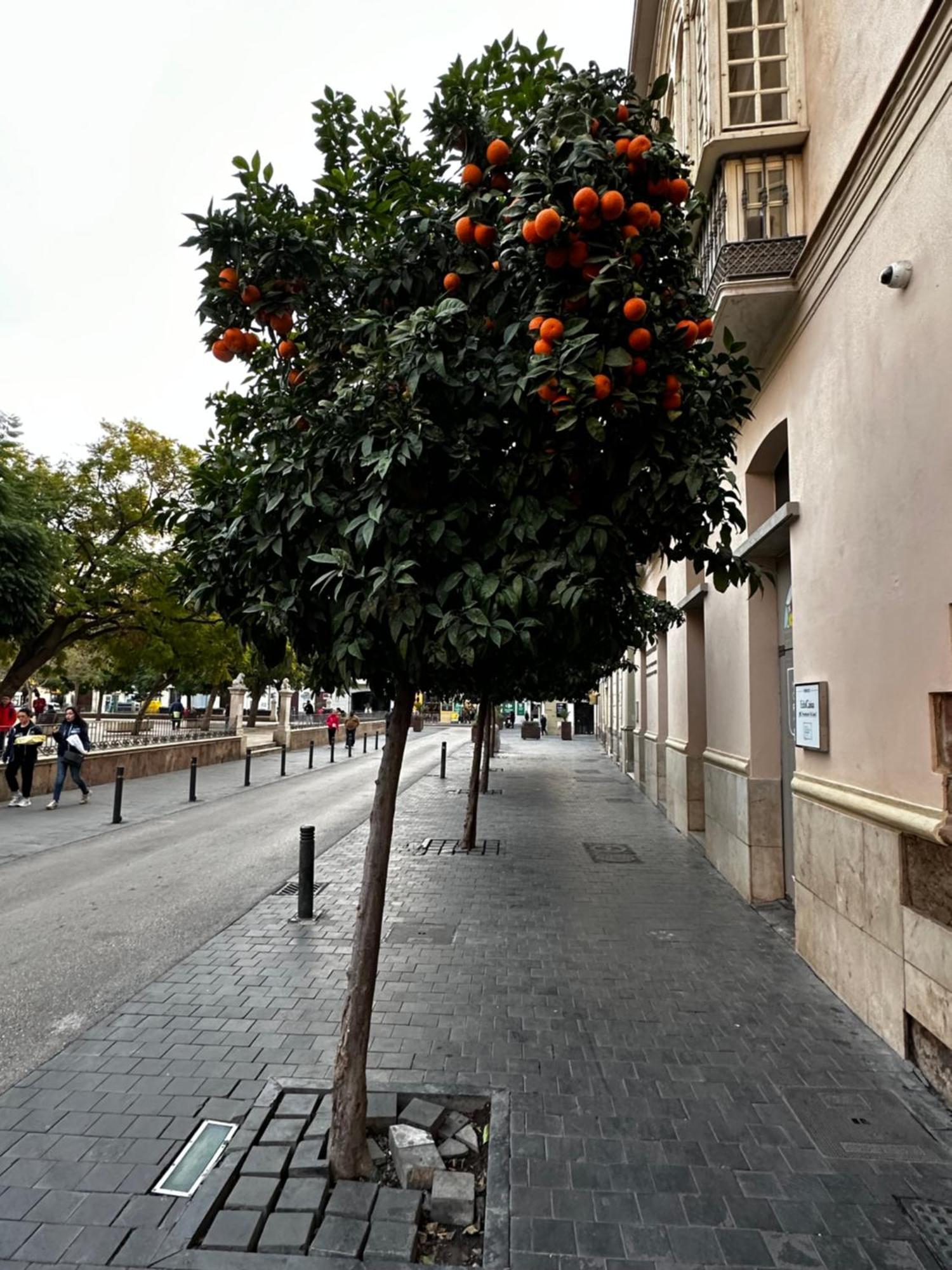 Appartement Malaga's Secret