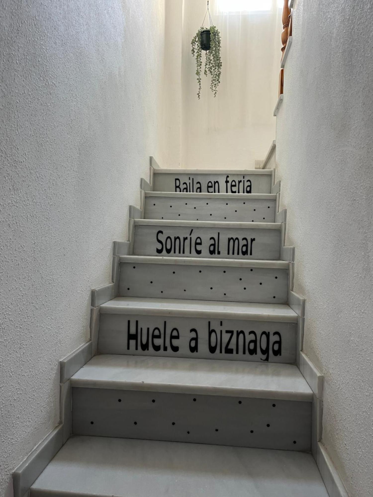 En Calle Molino