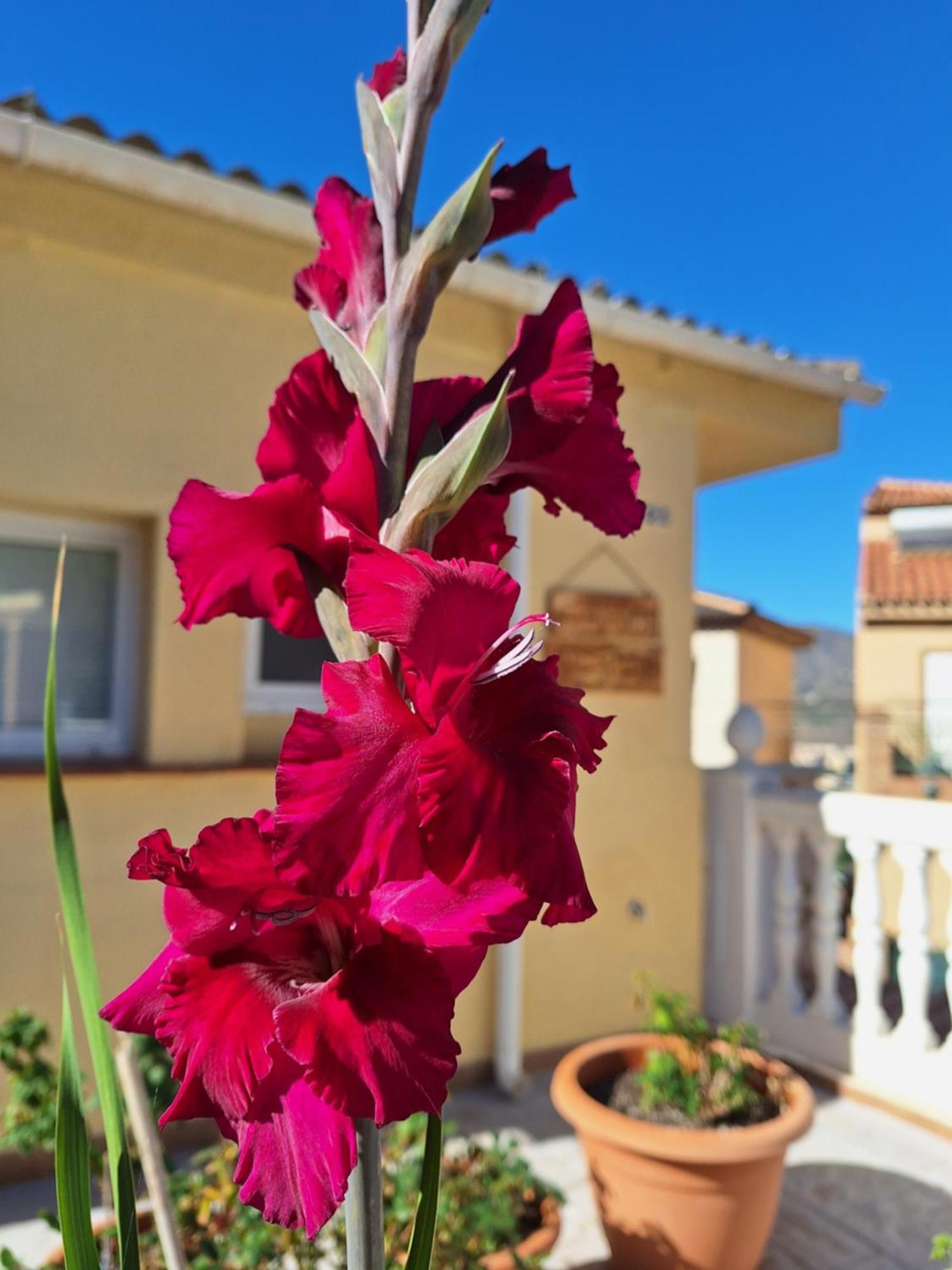 Appartamento Casa Mirador Perea *