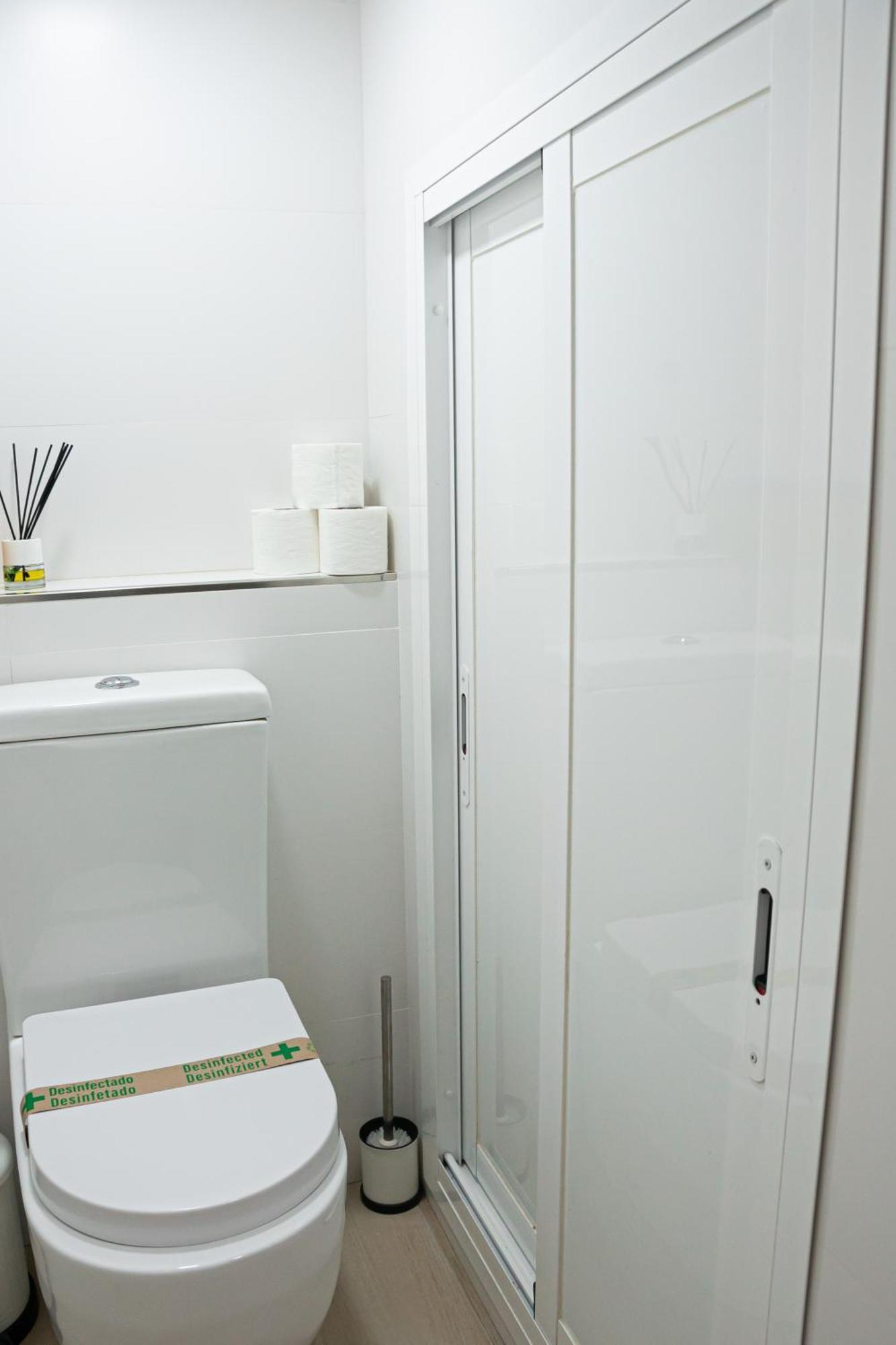 Apartment Larios Premium