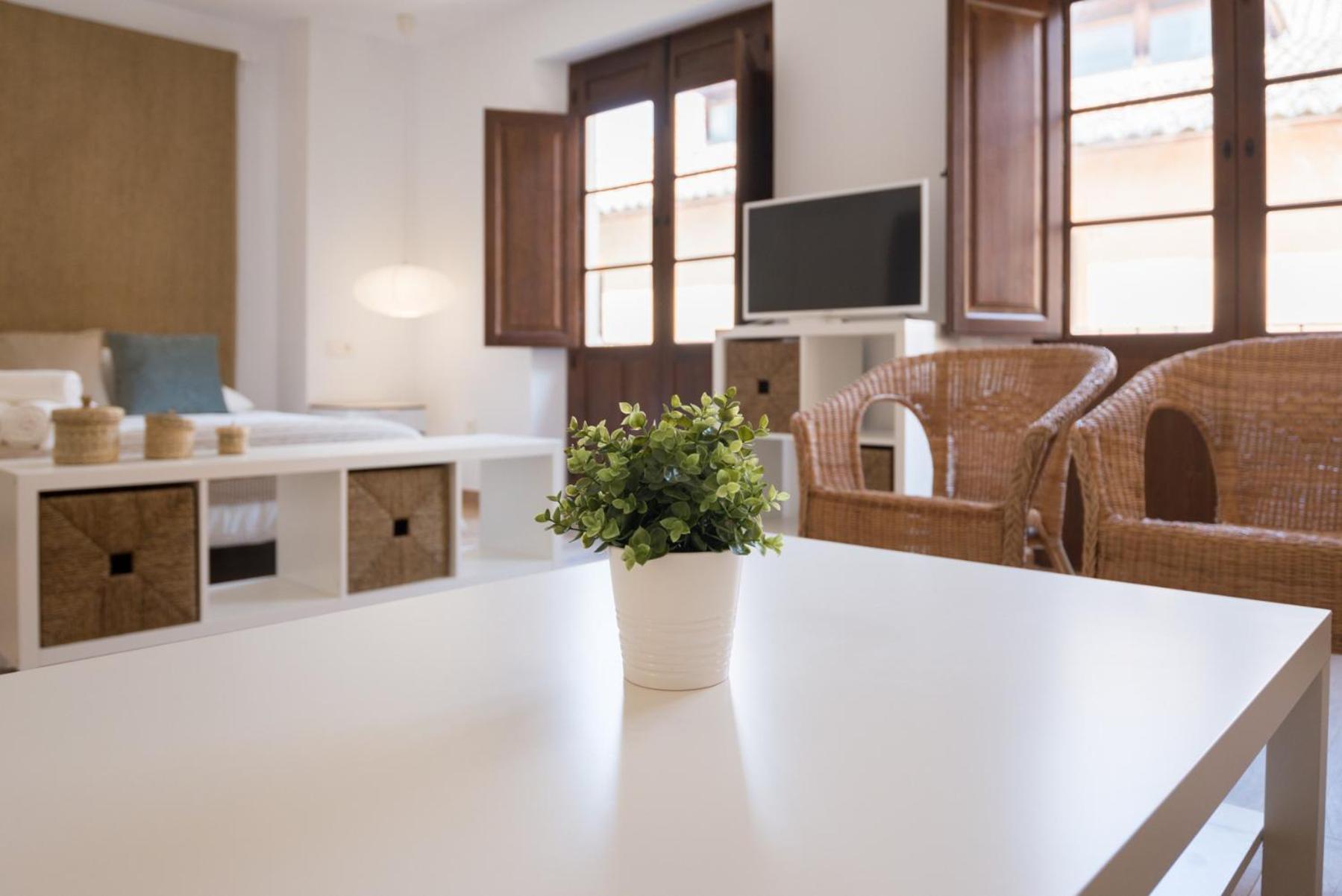 Santiago Premium Loft Ii Lägenhet Málaga