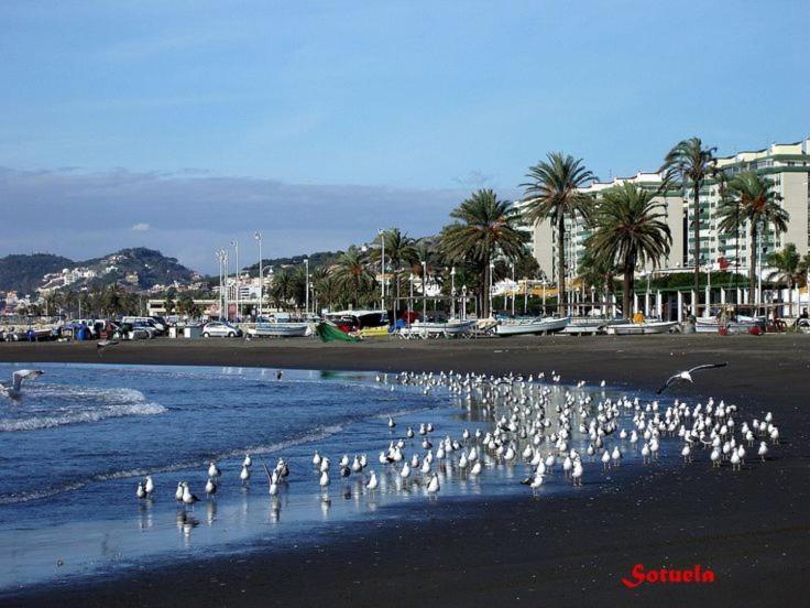 Solymar Leilighet Málaga