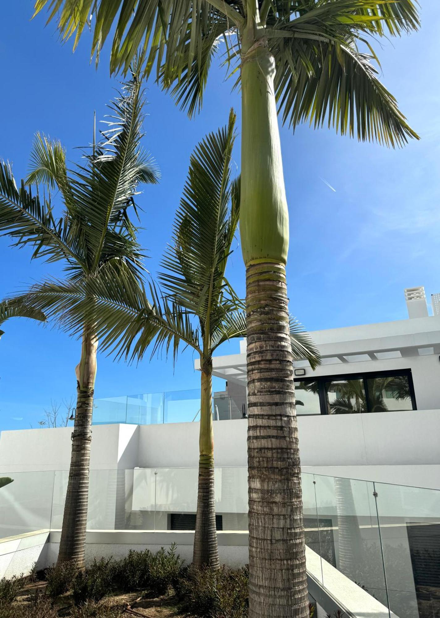 La Cala De Mijas - Dream Gardens Appartamento