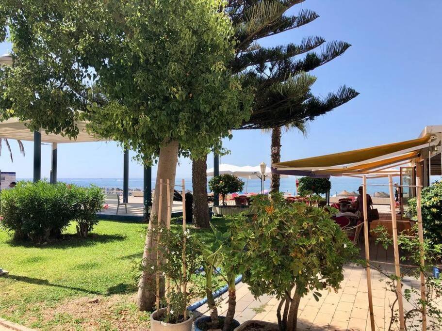 Apartment Beautiful On The Torrox-costa Boulevard! *