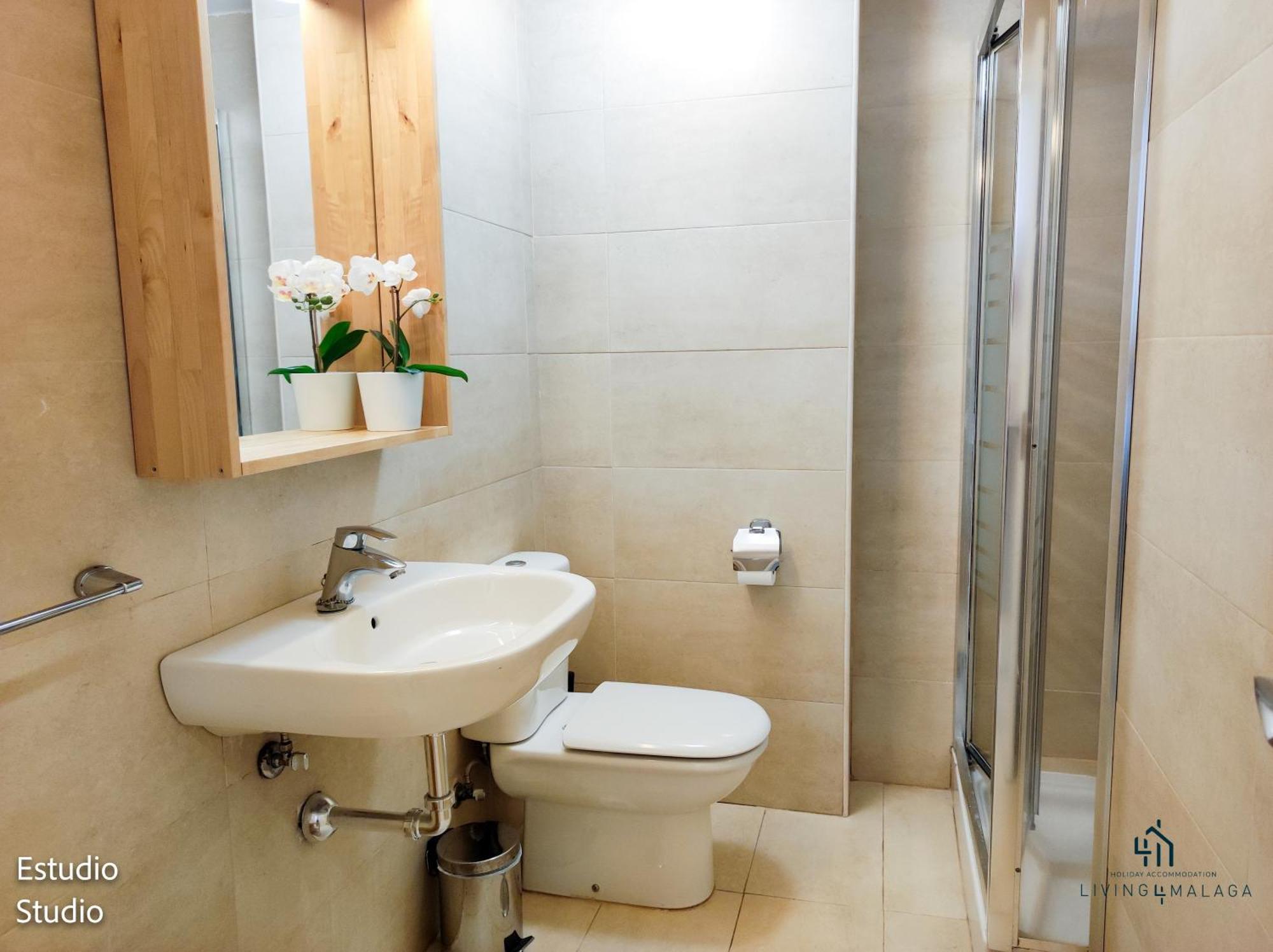 Living4malaga Superior