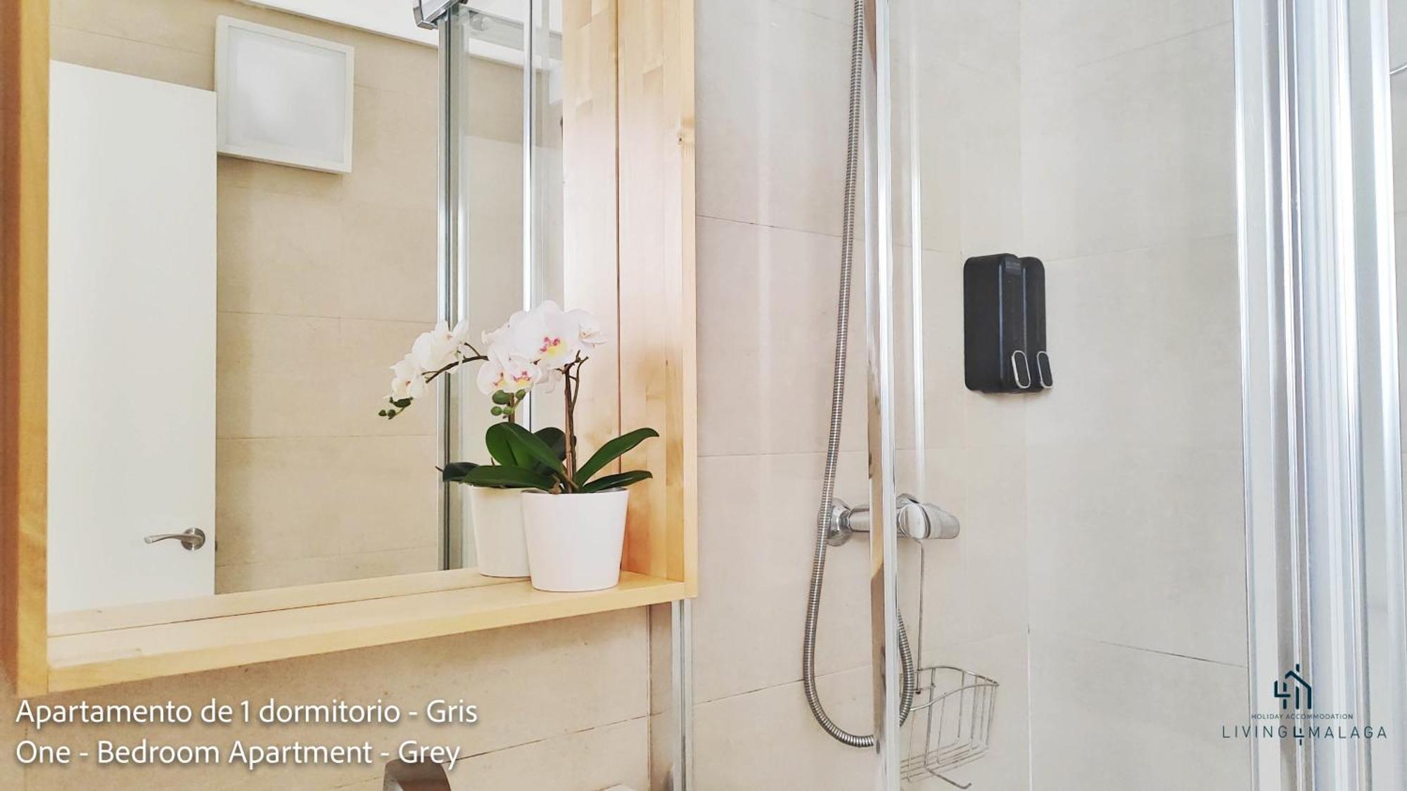 Appartamento Living4malaga Superior Málaga