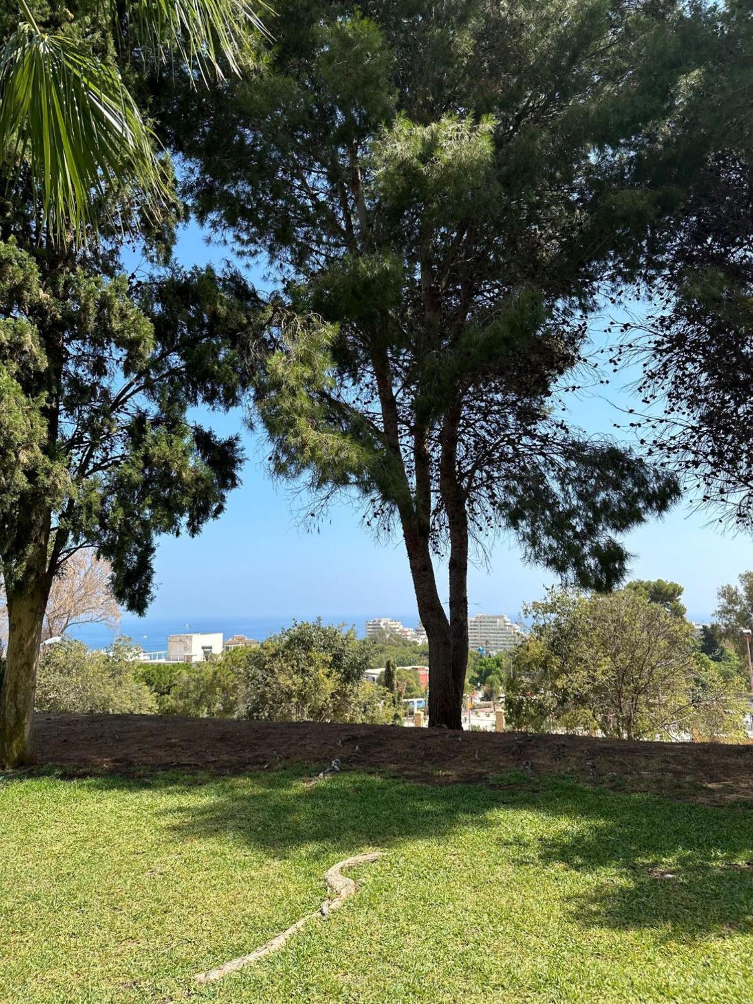 Apartamento Benalmadena Gamonal Málaga