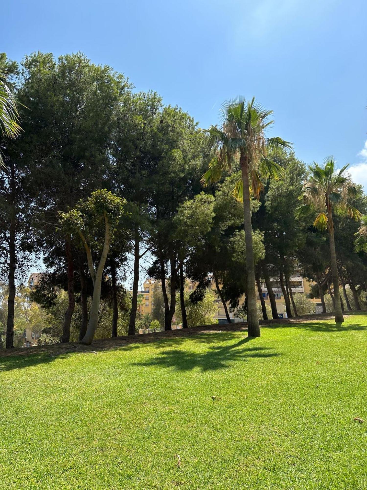 Apartamento Benalmadena Gamonal