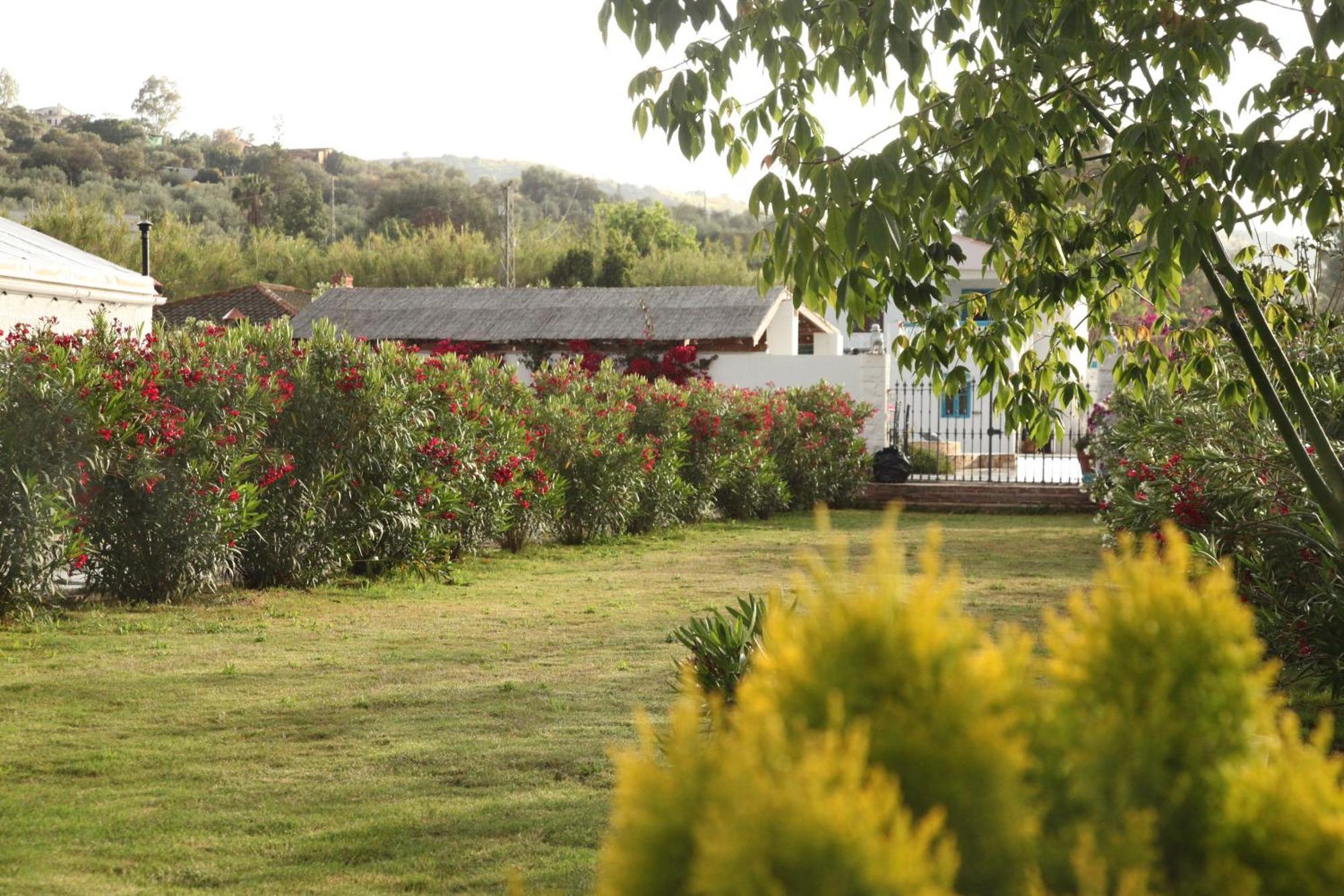 The Dragonfly Retreat Appartamento