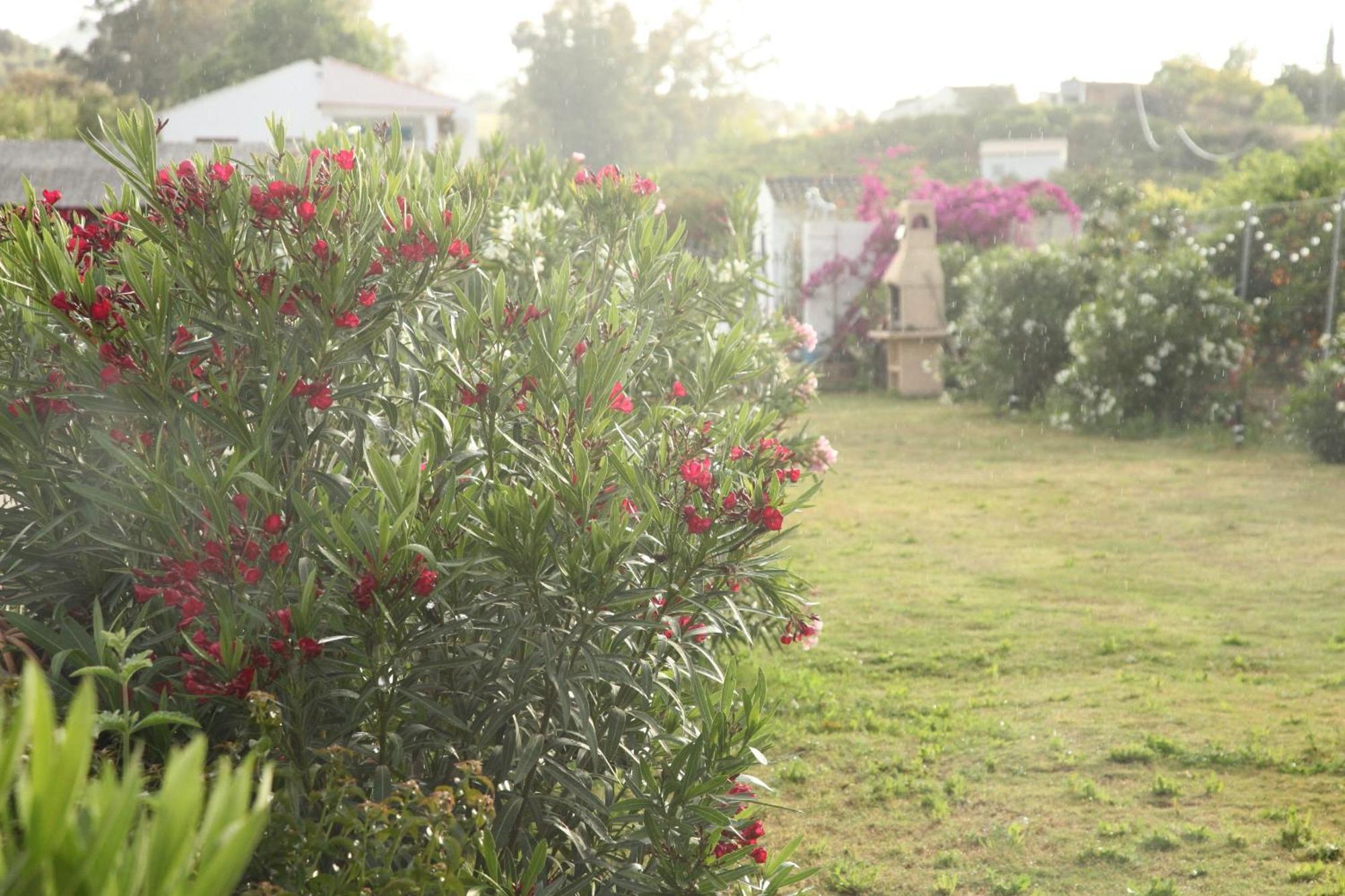 Appartamento The Dragonfly Retreat