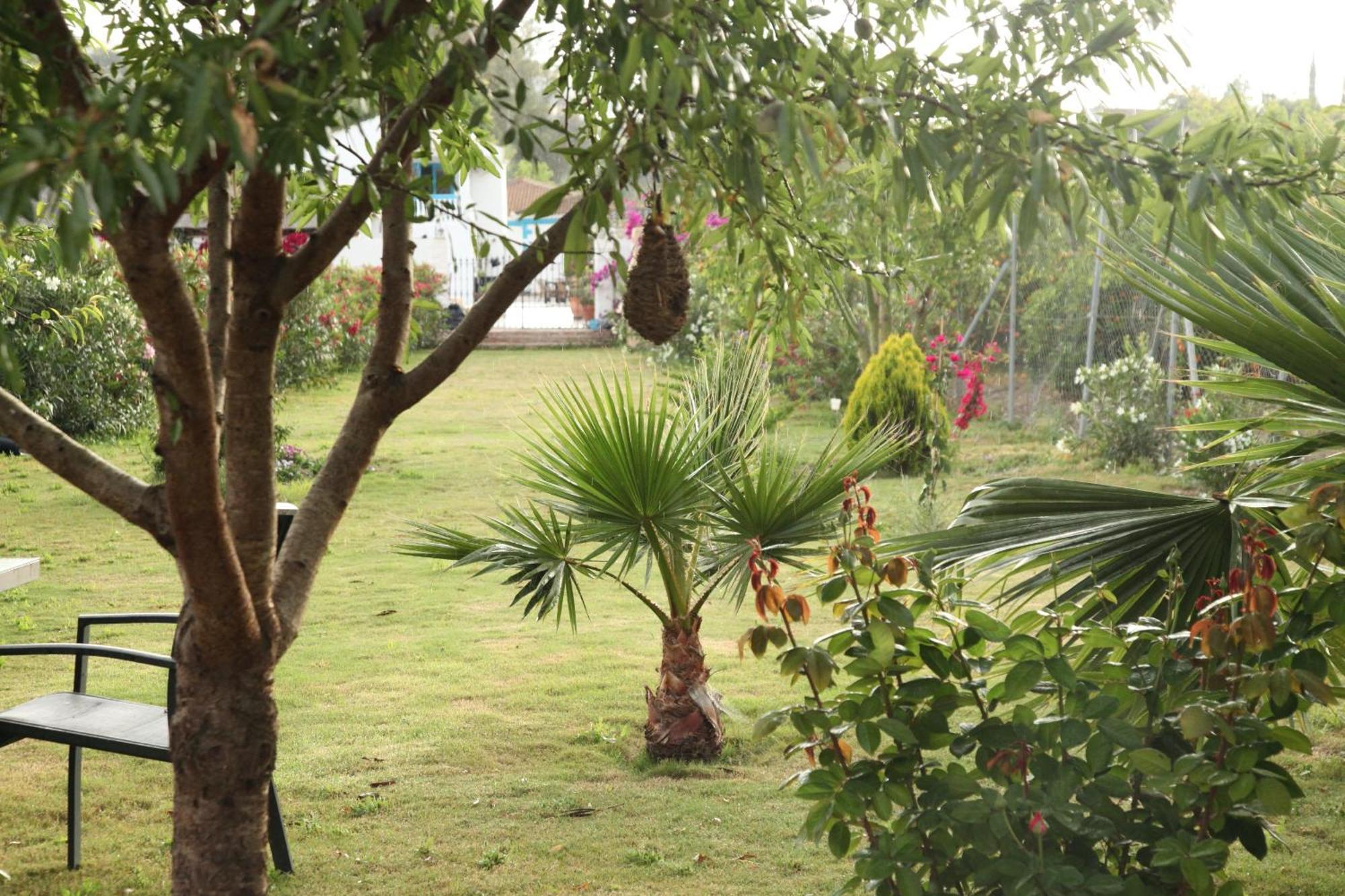 Appartamento The Dragonfly Retreat *