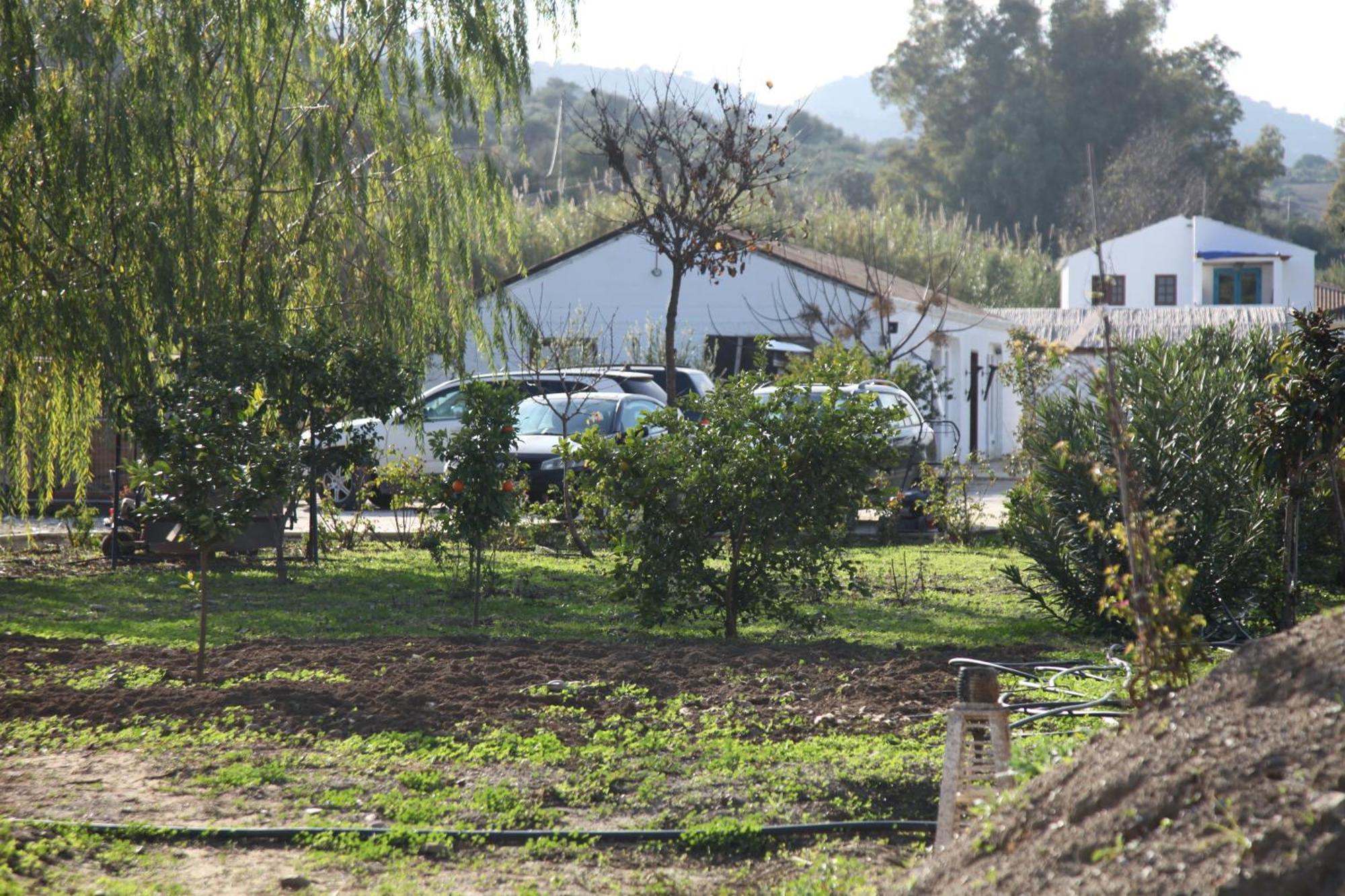 Appartamento The Dragonfly Retreat *