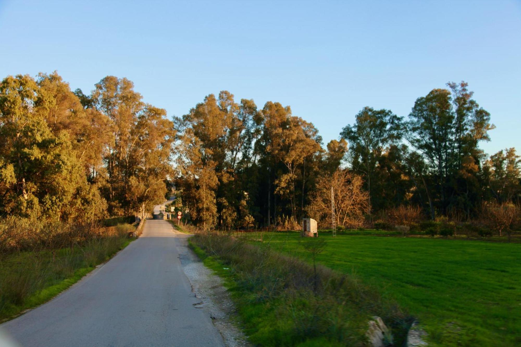 Appartamento The Dragonfly Retreat *