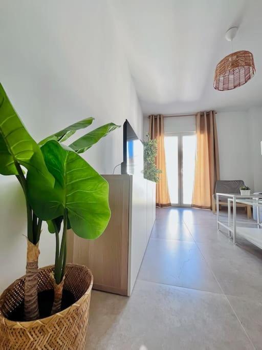 Lovely Close By Center Apartamento