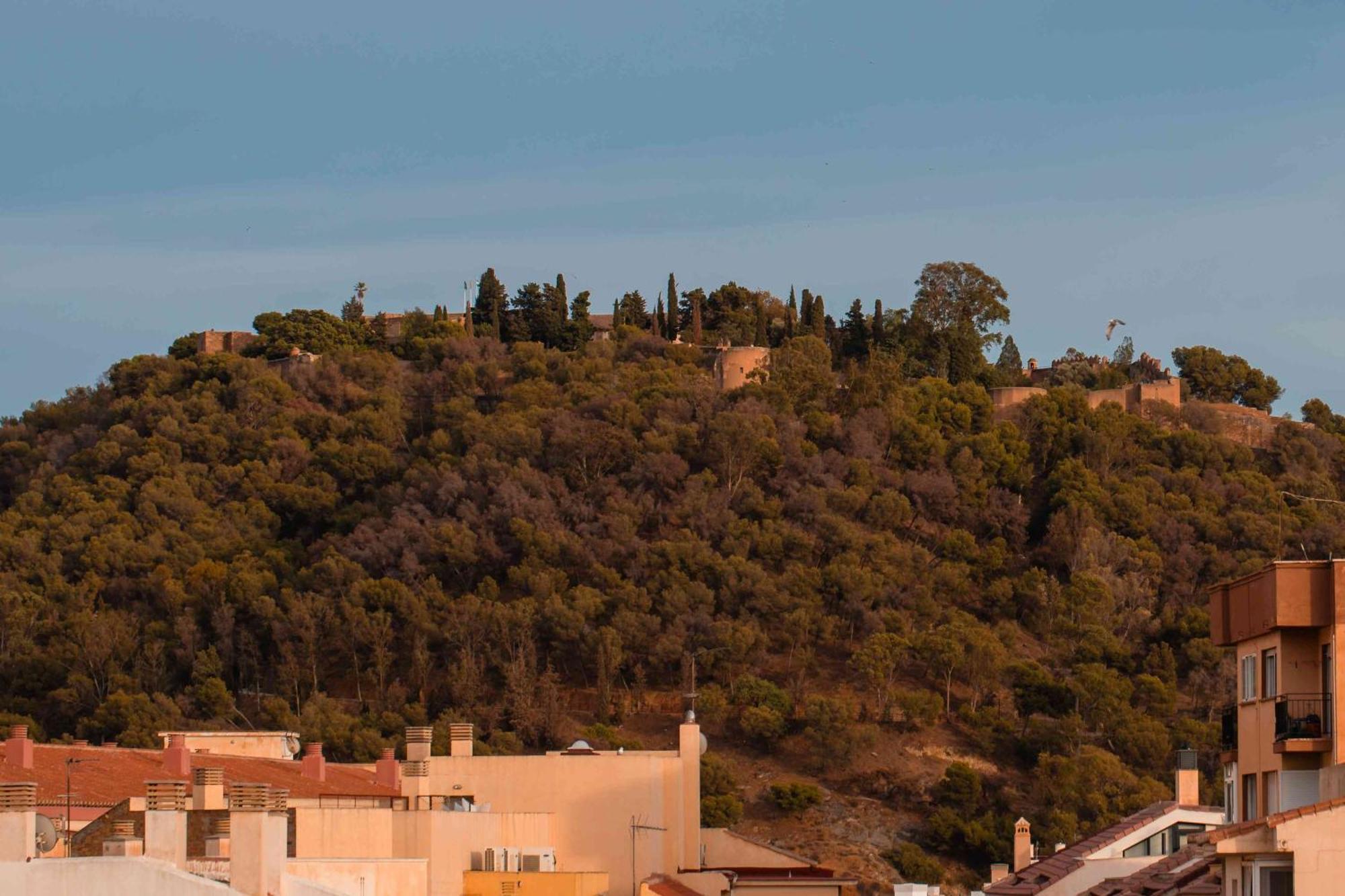 El Balcón De Apartamento