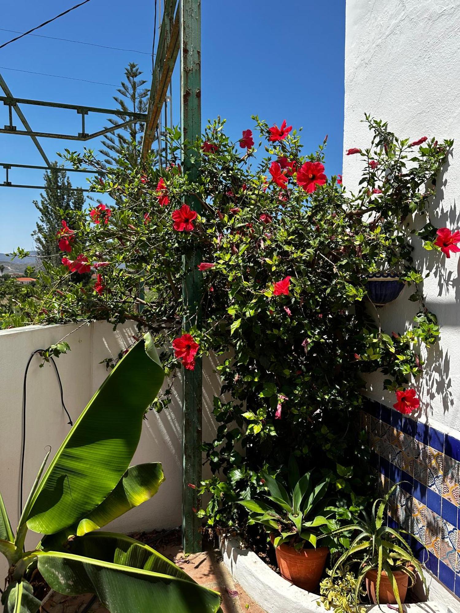 Complejo Rural Lo Arrabal Vakantiehuis *