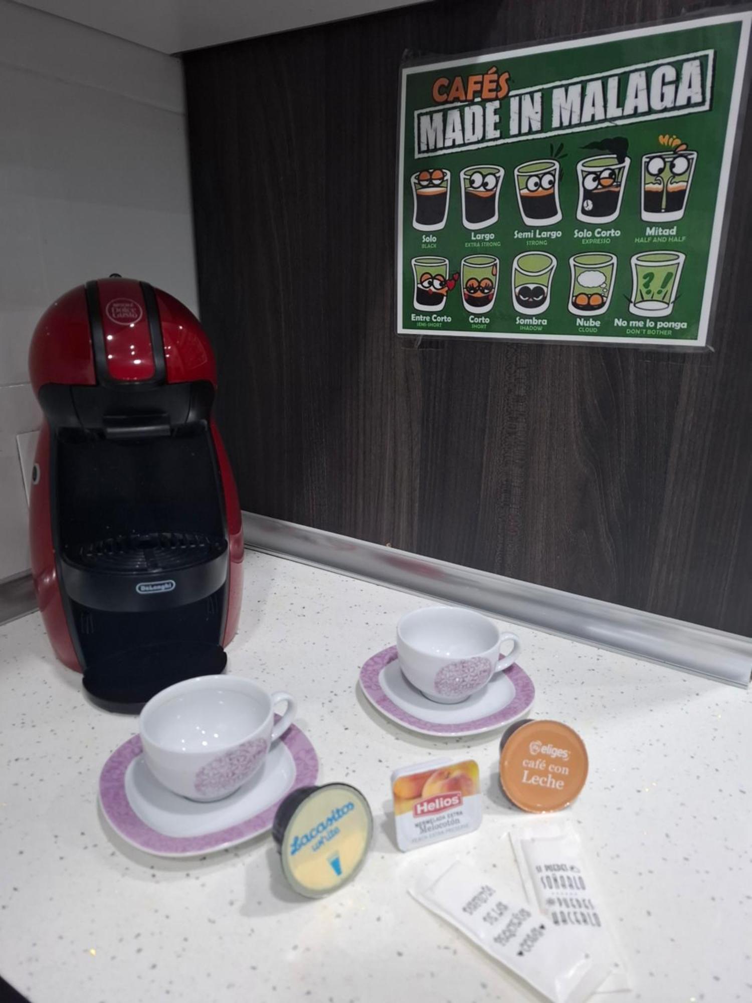 Apartment Premium La Biznaga Malaga