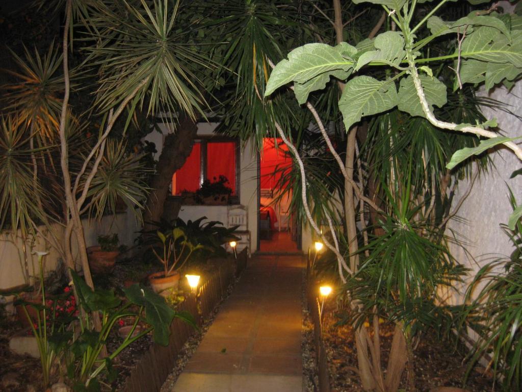 Acacias Restaurante Málaga