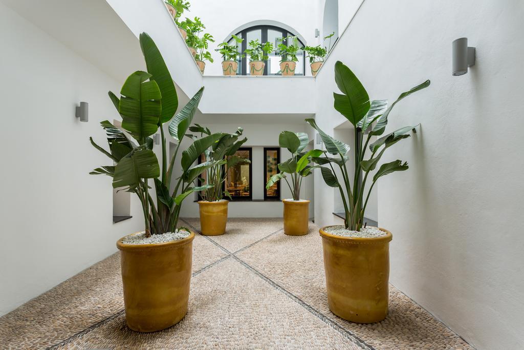 Mate Collection Valeria, 4* Malaga