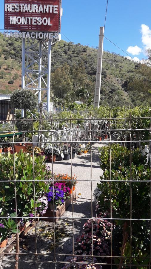 Nuevo Montesol Gasthuis