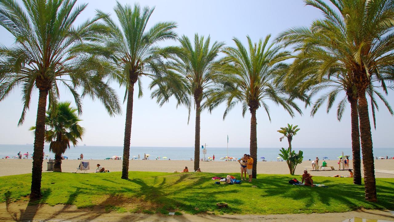 Iloftmalaga Reding Apartamento