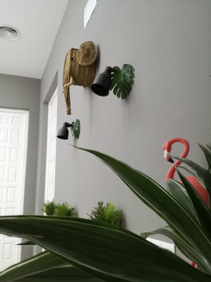 The Urban Jungle Hostal