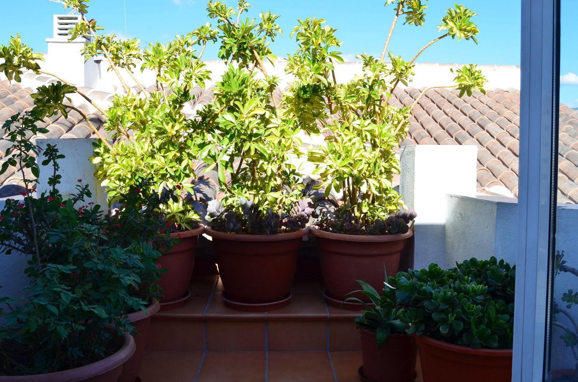 San Pablo Appartement *