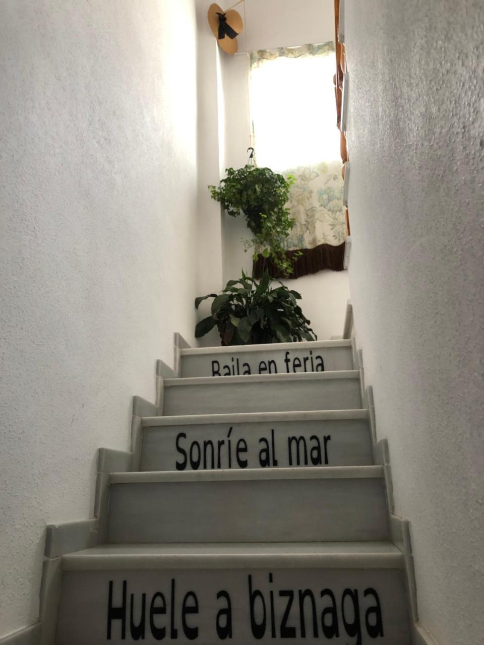 En Calle Molino