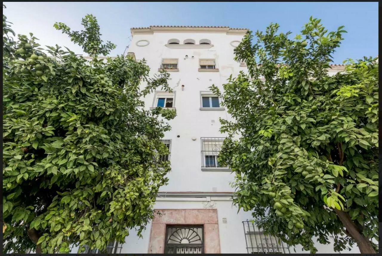 Milagros 110 M2 Malaga