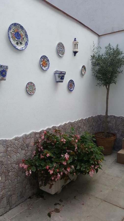 Mi Rincon Andaluz