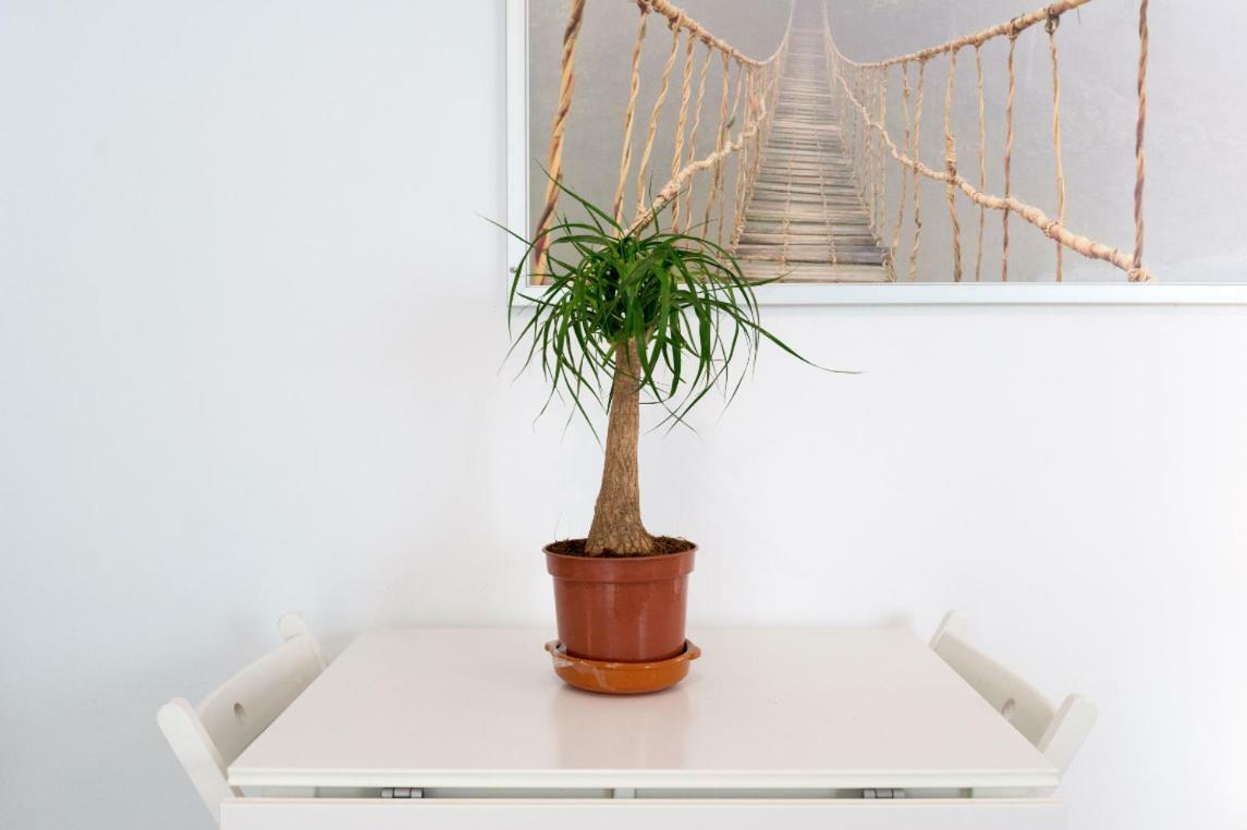 Apartamento Ml1c-prime Location Marble With Patios