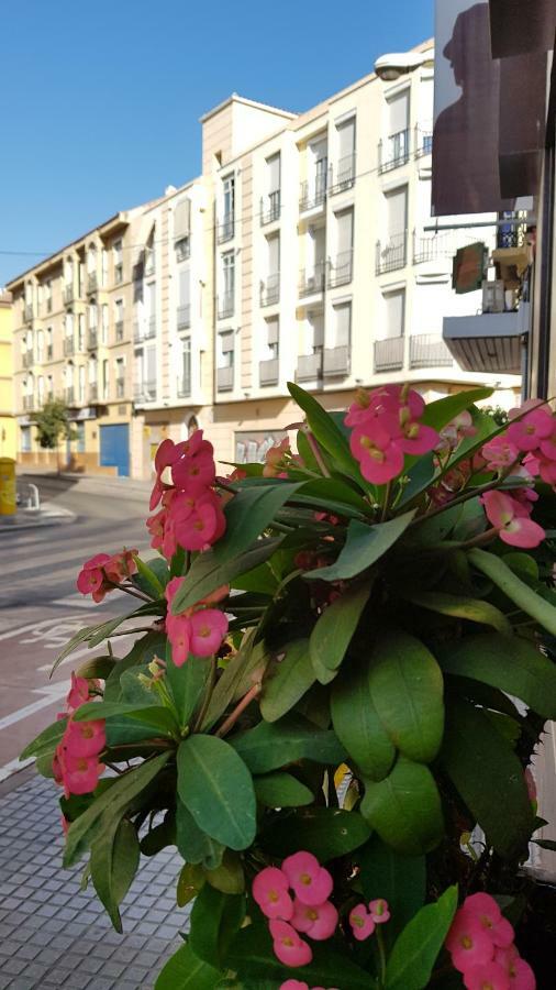 Elena Flat Center * Málaga