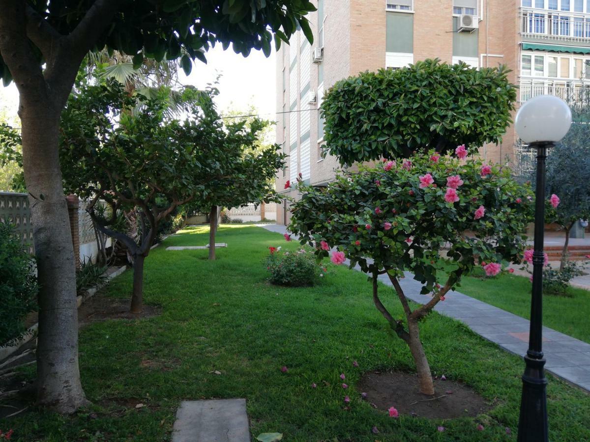 Appartement Aurora *