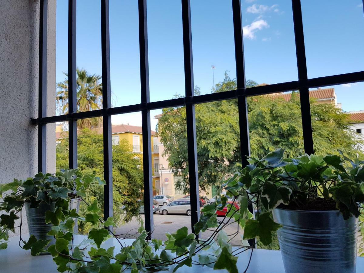 **** Genuar Center Apartment