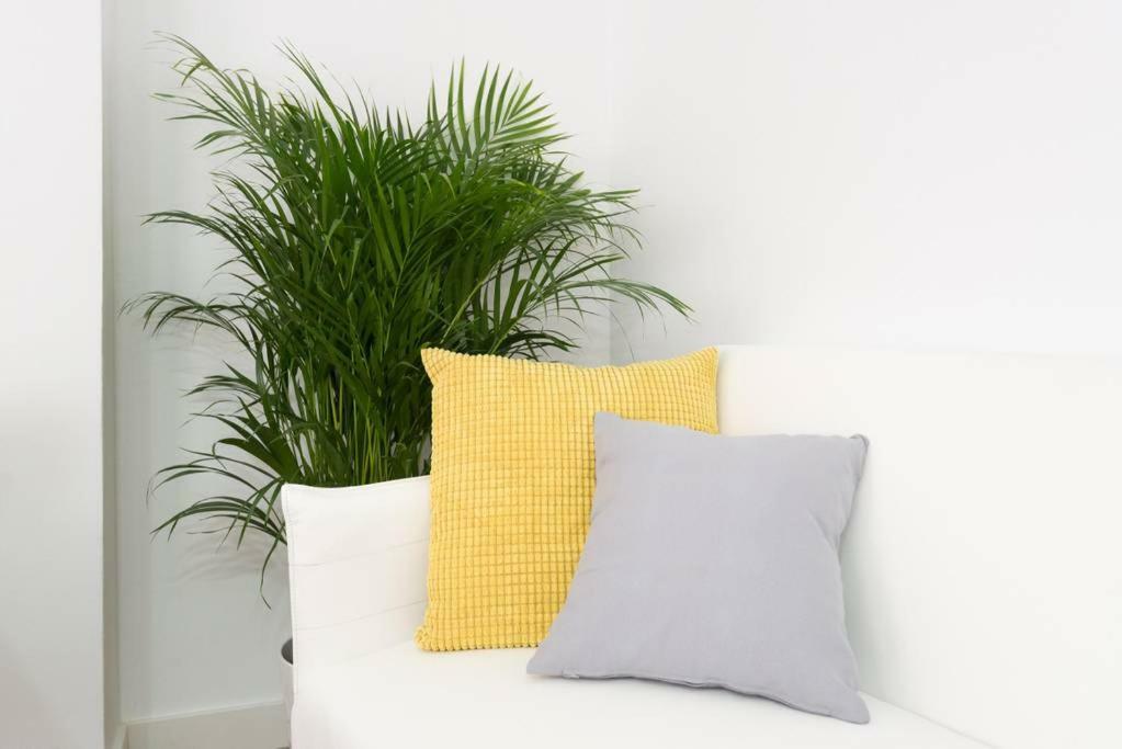 Apartamento Lyrioshomes Cervantes