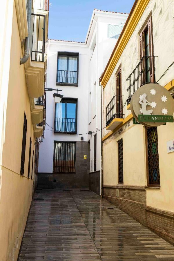 Centrico Picasso Apartamento *