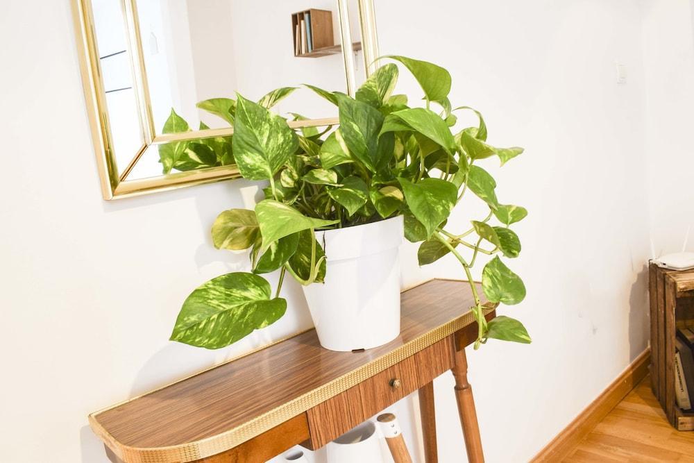 Apartamento Letmalaga Carretería