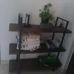 Paraiso Aquiler Vacacional