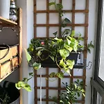 My quiet house