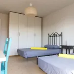 Barbatuke Eco-Homestel