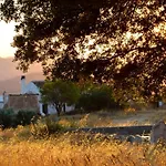 La Casa De La Huerta Stylish Family Cottage In Malaga Countryside