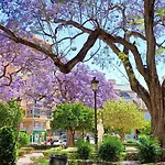 The Secret Oasis Malaga