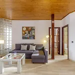 Apartamentos Autor By Caleta Homes