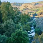 The Dragonfly Retreat