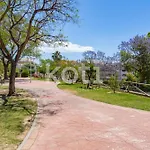 Swimming pool&large terrace in Los Pacos Koti Rentals
