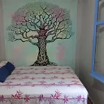 La Casita Azul