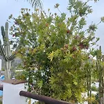 La Cochera