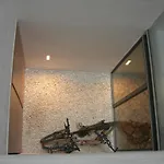 Suncity Ismo Arquitectura